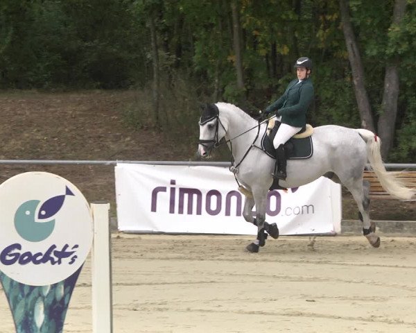 Reitturnier Forst 2021