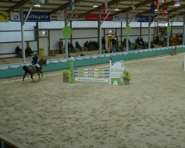 Reitturnier Gahlen 2024