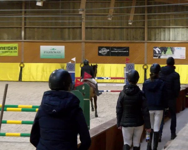 Reitturnier Dielsdorf 2024