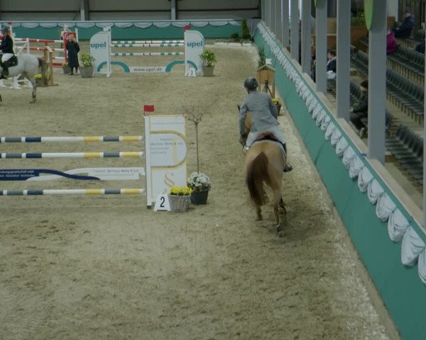 Reitturnier Gahlen 2024
