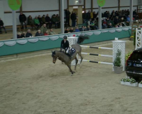Reitturnier Gahlen 2024