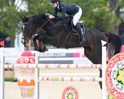 jumper Isabella (KWPN (Royal Dutch Sporthorse), 2013, from Zapatero VDL)