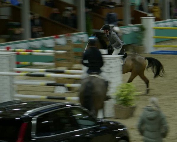 Reitturnier Gahlen 2024