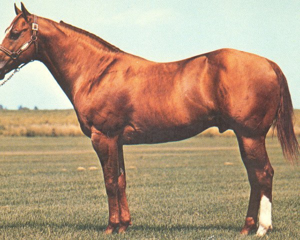 Deckhengst Rinski (Quarter Horse, 1960, von Croton Oil)