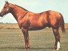 Deckhengst Rinski (Quarter Horse, 1960, von Croton Oil)