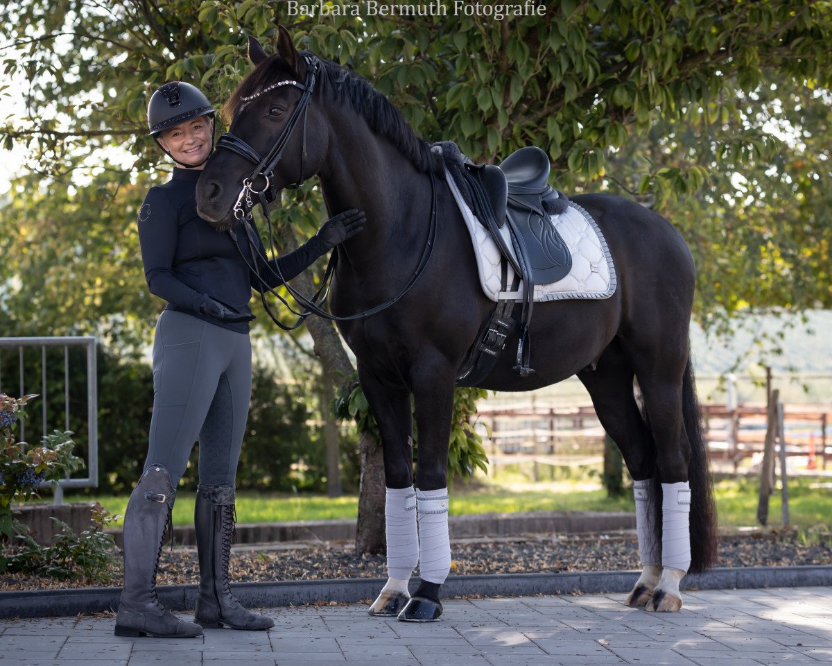 Dressurpferd Vom Brillanten G (Deutsches Reitpony, 2012, von Valido's Boy)