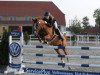 jumper Mexx (German Riding Pony, 2005, from Marsvogel xx)