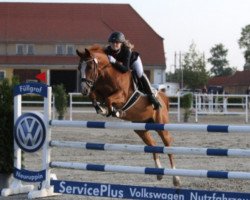 jumper Mexx (German Riding Pony, 2005, from Marsvogel xx)