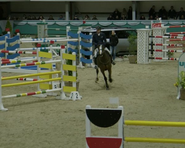 Reitturnier Gahlen 2024