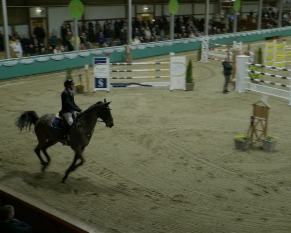Reitturnier Gahlen 2024