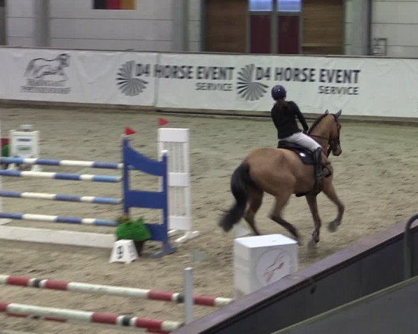 Reitturnier Prussendorf 2024