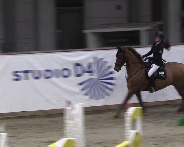 Reitturnier Prussendorf 2024
