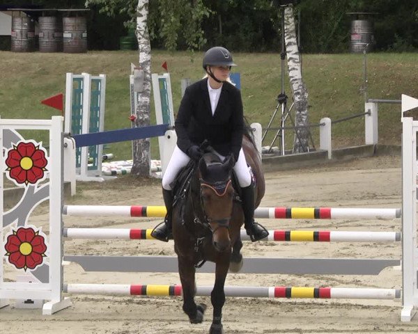 Reitturnier Forst 2021