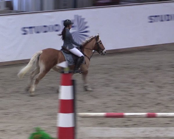 Reitturnier Prussendorf 2024