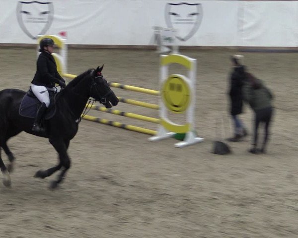 Reitturnier Prussendorf 2024
