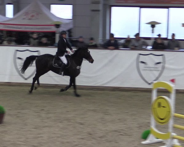 Reitturnier Prussendorf 2024
