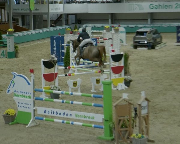 Reitturnier Gahlen 2024