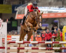 jumper Safari Bo de W&S (Belgian Warmblood, 2018, from Ermitage Kalone)