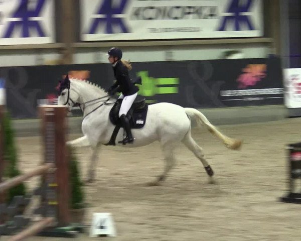 4. Nordic Jumping event Negernbötel 2024