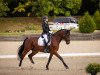 dressage horse Orlando Ms (Bavarian, 2013, from Rivero II)