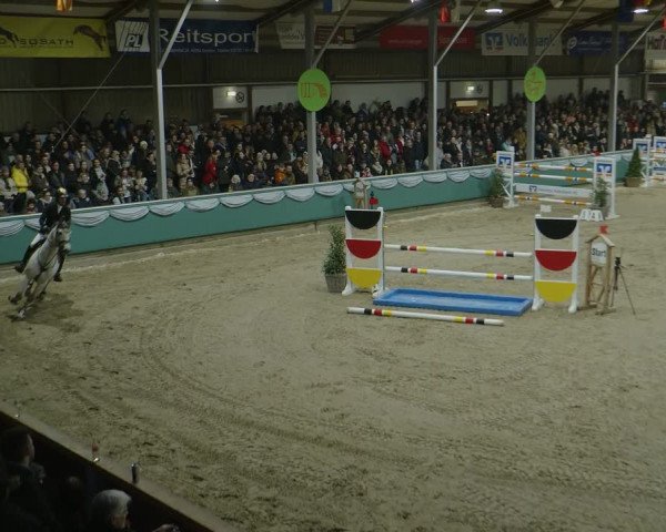 Reitturnier Gahlen 2024