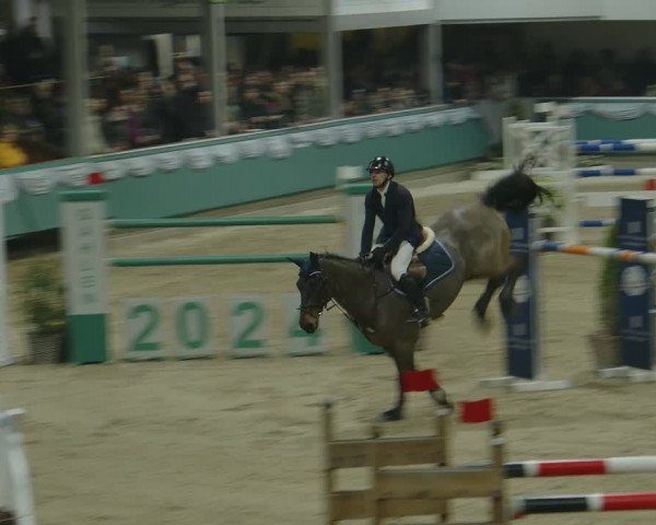Reitturnier Gahlen 2024
