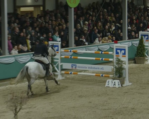 Reitturnier Gahlen 2024