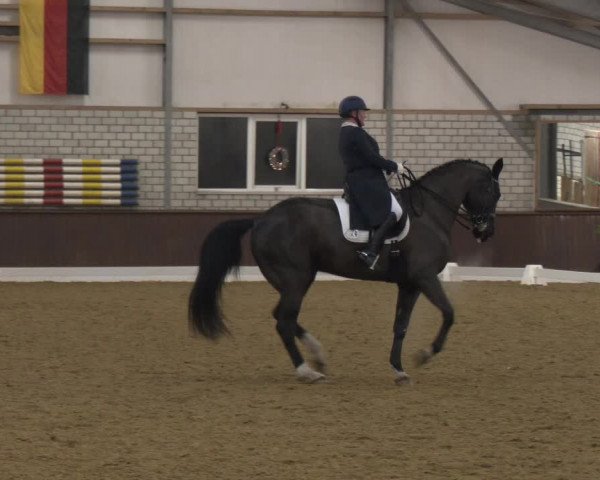 Reitturnier Bottrop-Kirchhellen 2024
