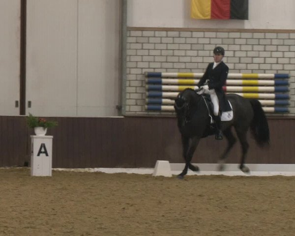 Reitturnier Bottrop-Kirchhellen 2024