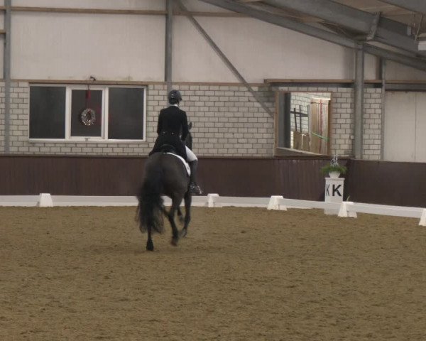 Reitturnier Bottrop-Kirchhellen 2024