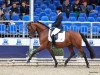 dressage horse Top Casimir 3 (German Riding Pony, 2019, from Top Champion)