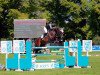 jumper Comtess OLD (Oldenburg show jumper, 2014, from Conthargos)