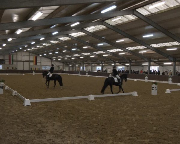Reitturnier Bottrop-Kirchhellen 2024