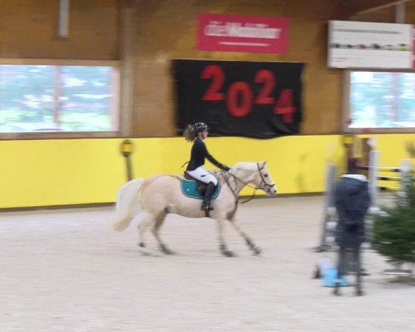 Reitturnier Dielsdorf 2024