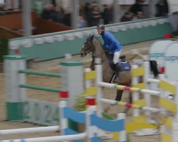 Reitturnier Gahlen 2024