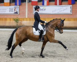 dressage horse For Sunshine (Hanoverian, 2012, from Fuechtels Floriscount OLD)