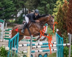 jumper Larico (German Sport Horse, 2005, from Larius)