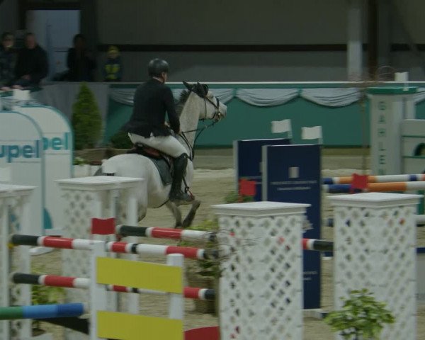Reitturnier Gahlen 2024