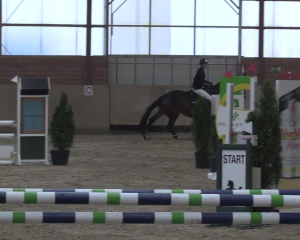 Reitturnier Ostenfelde-Vornholz 2024