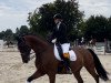 dressage horse Herr Von Heine (Hanoverian, 2014, from Heinrich Heine)