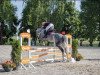 jumper Bambi Royal (Westphalian, 2016, from Bellini Royal)