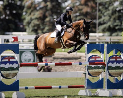 Springpferd Kaya Sinaa Gph (KWPN (Niederländisches Warmblut), 2015, von Carrera VDL)