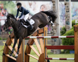 jumper Casino (Oldenburg, 2008, from Casiro I)