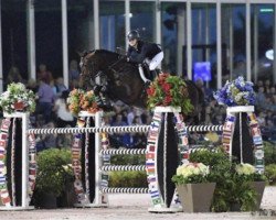 stallion Ilias van het Vlasmeer (Belgian Warmblood, 2008, from Emerald van 't Ruytershof)