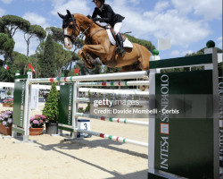 jumper Ideal de La Haisse (Belgian Warmblood, 2008, from Electro)