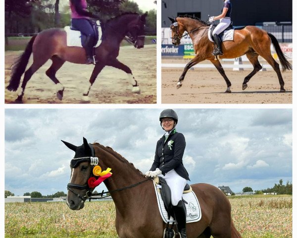 Michaela Fillies