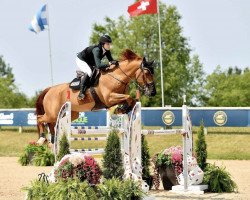 jumper Gavarni (KWPN (Royal Dutch Sporthorse), 2011, from Mylord Carthago)