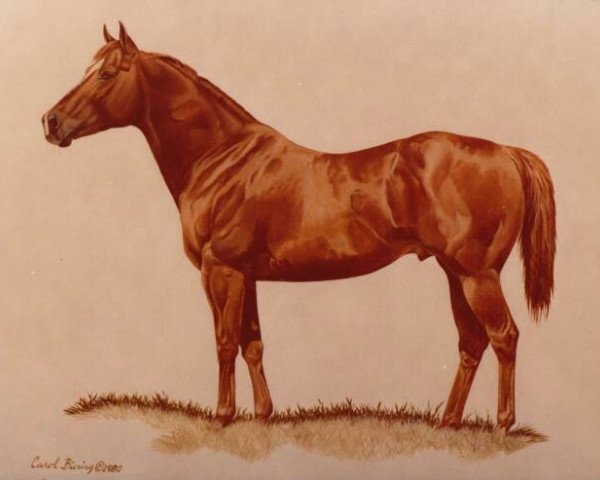 Deckhengst Roma Charge (Quarter Horse, 1964, von War Charge)