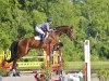 jumper Caillou 59 (Hanoverian, 2016, from Cador 5)