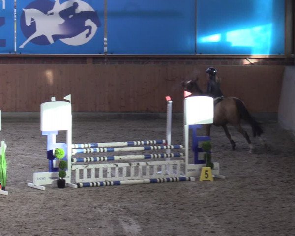 Reitturnier Osterholz-Scharmbeck 2024